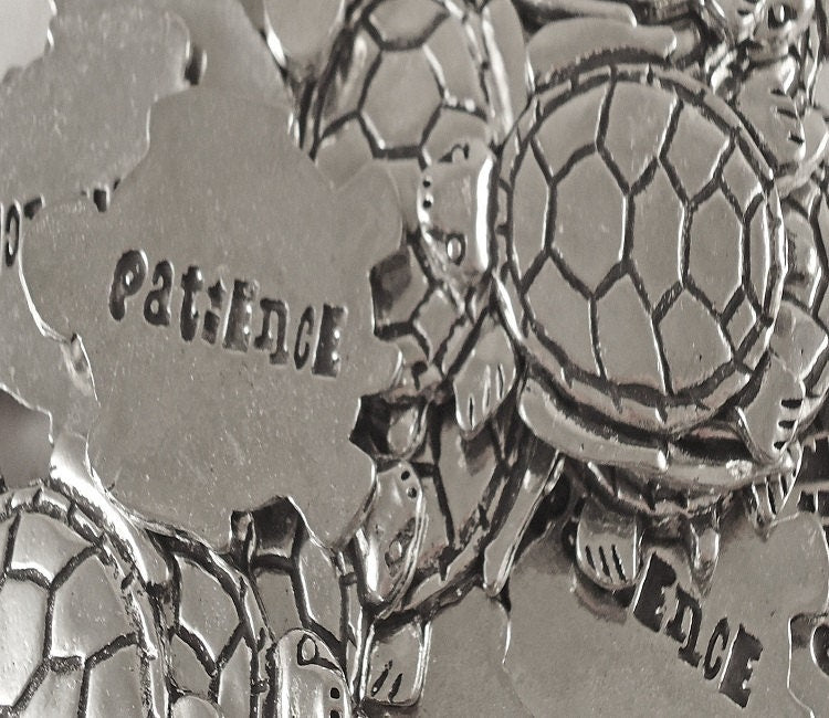 Turtle Shaped Patience Inspiration Coin