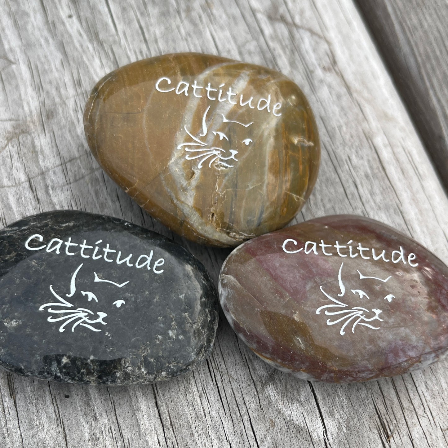 Cattitude (cat face outline)- Engraved River Rock Pet Memento Word Stone