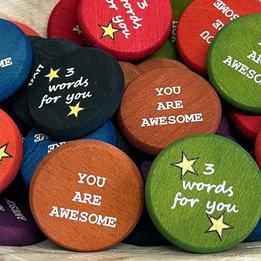Inspirational Wood Coin Token - 3 words - You Are Awesome
