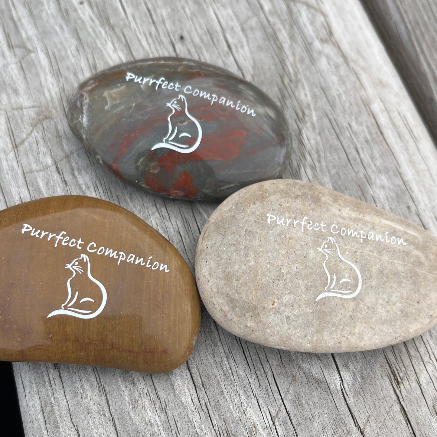 Purrfect Companion (cat sitting)- Engraved River Rock Pet Memento Word Stone